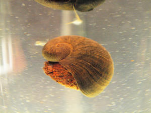 20110101_363shuusei.jpg