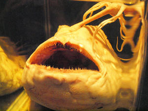 20110101_393shuusei.jpg