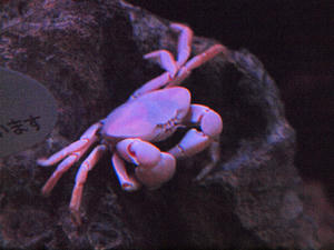 20110101_385shuusei.jpg