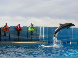 20110101_548shuusei.jpg