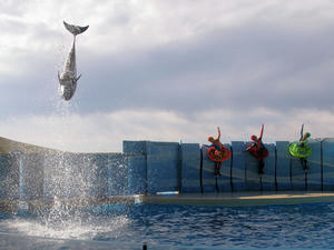 20110101_545shuusei.jpg