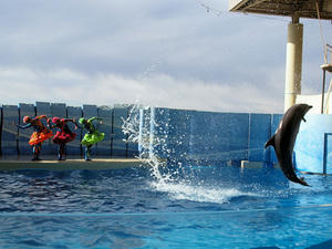 20110101_556shuusei.jpg