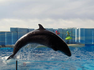 20110101_564shuusei.jpg