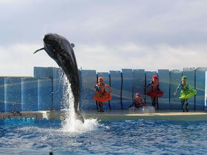 20110101_568shuusei.jpg