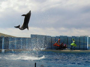 20110101_572shuusei.jpg