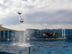 20110101_581shuusei.jpg