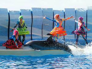 20110101_588shuusei.jpg
