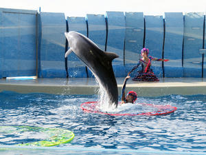 20110101_600shuusei.jpg