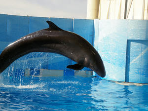 20110101_620shuusei.jpg