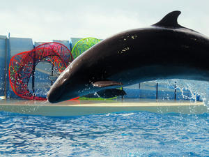 20110101_627shuusei.jpg