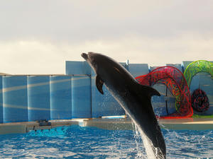 20110101_638shuusei.jpg