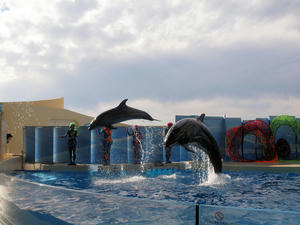 20110101_653shuusei.jpg