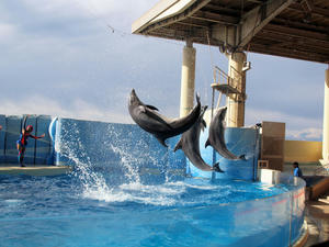 20110101_667shuusei.jpg