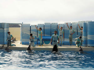 20110101_762shuusei.jpg