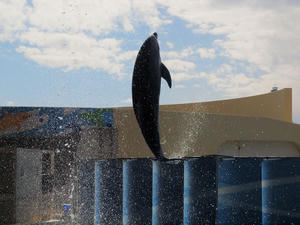 20110101_734shuusei.jpg