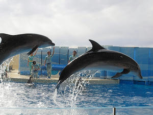20110101_769shuusei.jpg