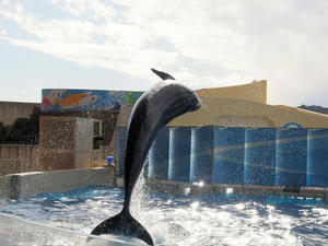 20110101_771shuusei.jpg