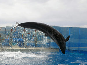 20110101_774shuusei.jpg
