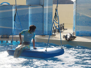 20110101_792shuusei.jpg