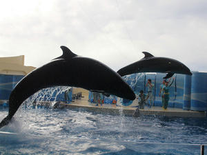 20110101_829shuusei.jpg