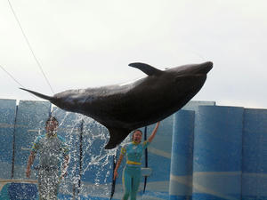 20110101_848shuusei.jpg
