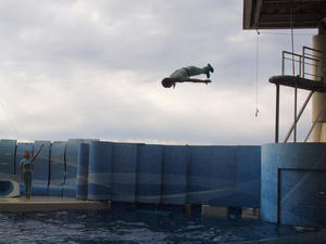 20110101_861shuusei.jpg