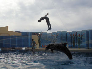20110101_865shuusei.jpg