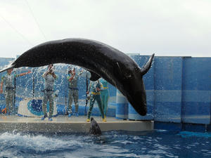 20110101_875shuusei.jpg