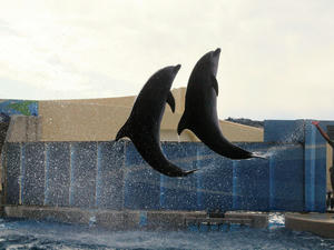 20110101_893shuusei.jpg