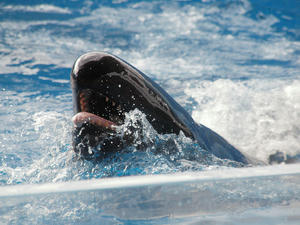 20110101_901shuusei.jpg