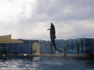 20110101_905shuusei.jpg