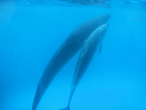 20110101_910shuusei.jpg