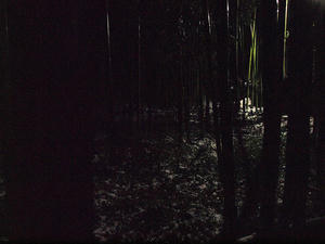 20110105_3shuusei.jpg