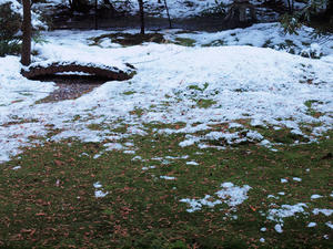 20110105_48shuusei.jpg