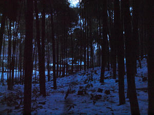 20110105_22shuusei.jpg
