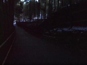 20110105_27shuusei.jpg