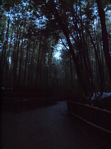 20110105_32shuusei.jpg