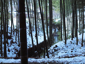 20110105_43shuusei.jpg