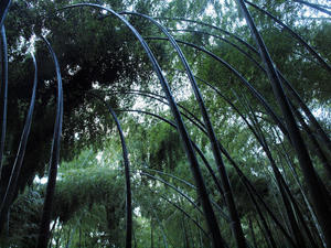 20110105_50shuusei.jpg