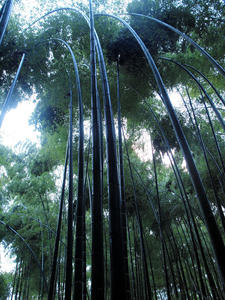 20110105_52shuusei.jpg
