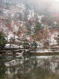 20110105_68shuusei.jpg