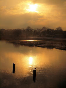 20110105_99shuusei.jpg