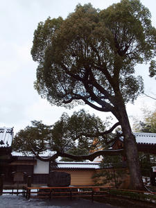 20110105_114shuusei.jpg