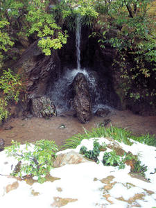 20110105_175shuusei.jpg