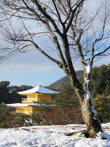 20110105_180shuusei.jpg