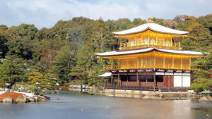 20110105_198shuusei.jpg