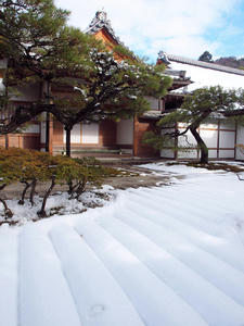 20110105_221shuusei.jpg