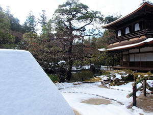 20110105_241shuusei.jpg