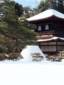 20110105_248shuusei.jpg