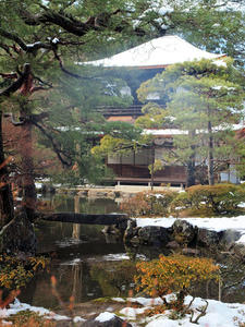 20110105_263shuusei.jpg